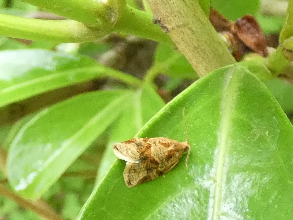 photo_3